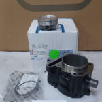 CILINDRO E PISTONE PIAGGIO - APRILIA BEVERLY 250-VESPA GTS 250 - MP3 250-NEXUS