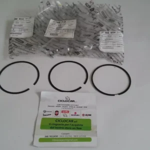 FASCE ELASTICHE PISTONE CILINDRO ART.B015279-80-81 PIAGGIO BEVERLY 350 - X10 350