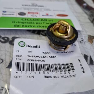 TERMOSTATO 279165050000 ORIGINALE BENELLI TRK 502 / LEONCINO 125-250-500 / BN